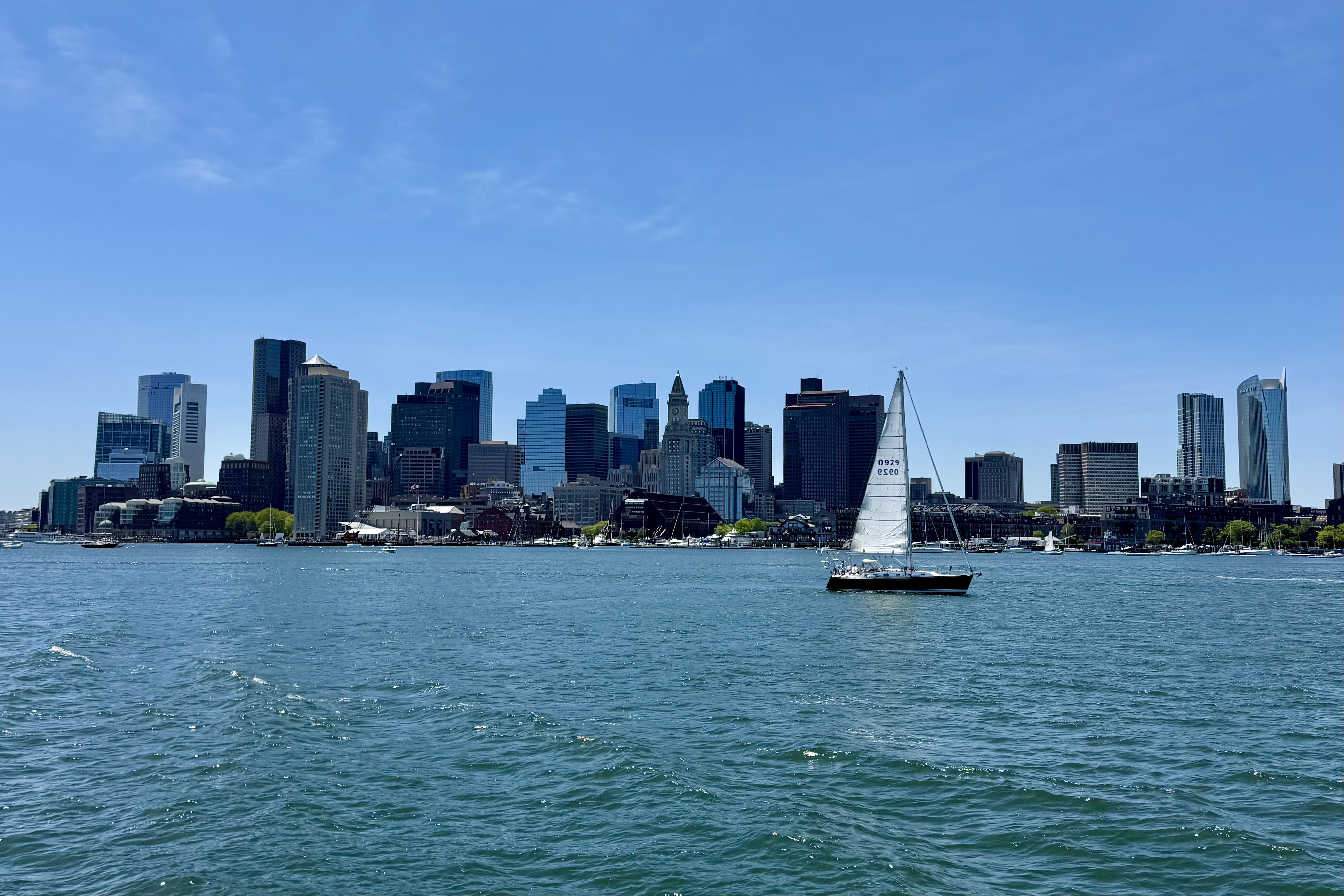 Boston Skyline