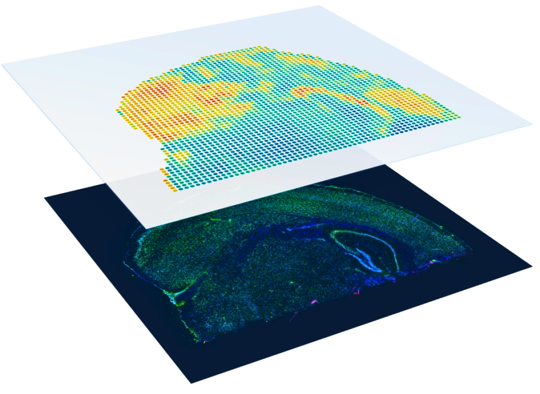 Spatial Core News | Core Facilities