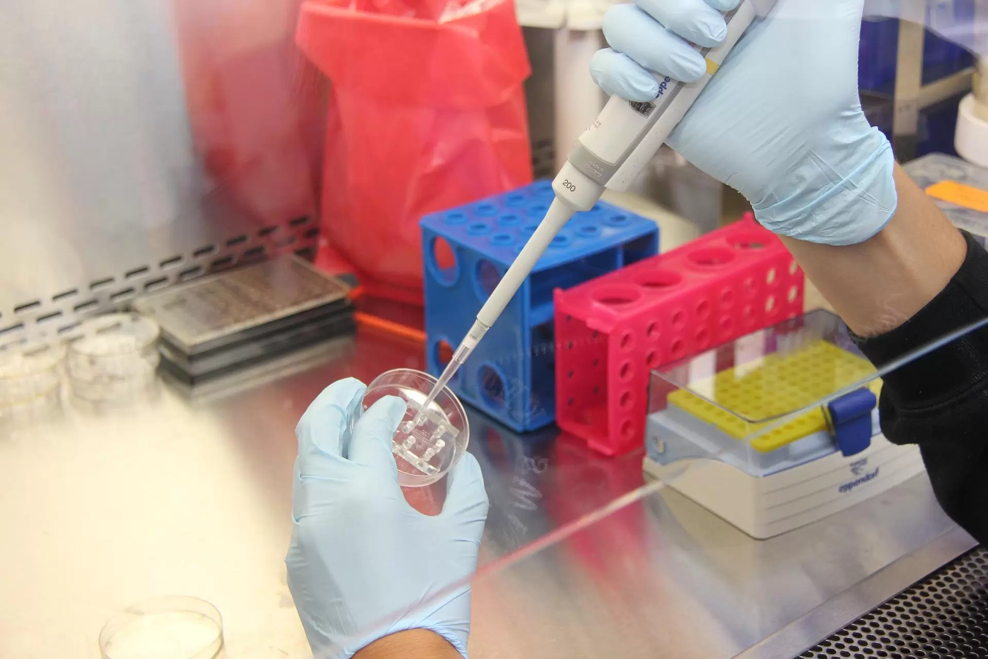 scientist using pipette