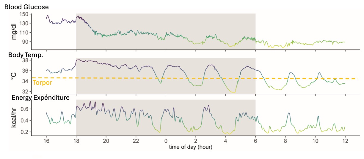 telemetry_glucose