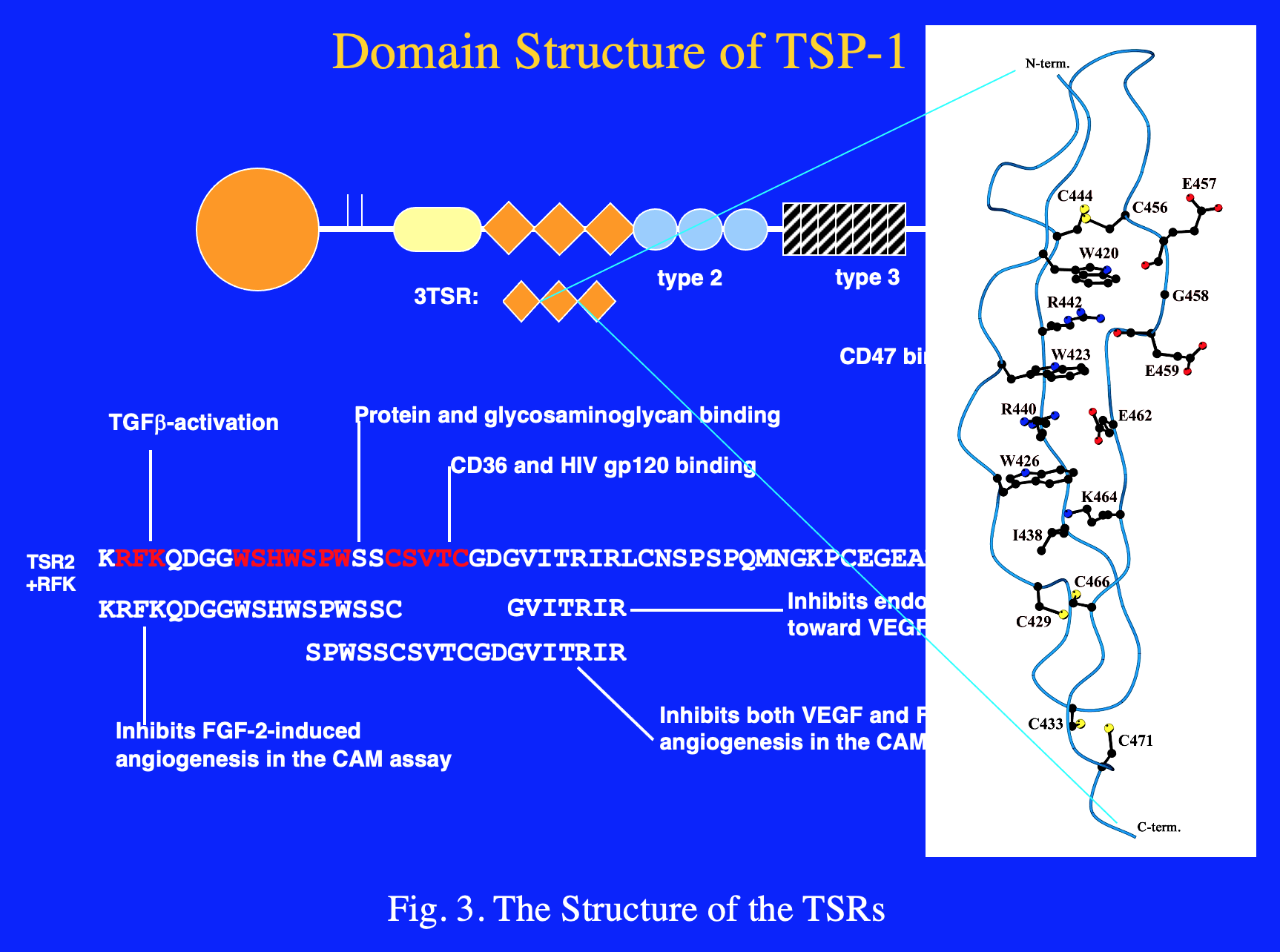 The Structure of TSR2