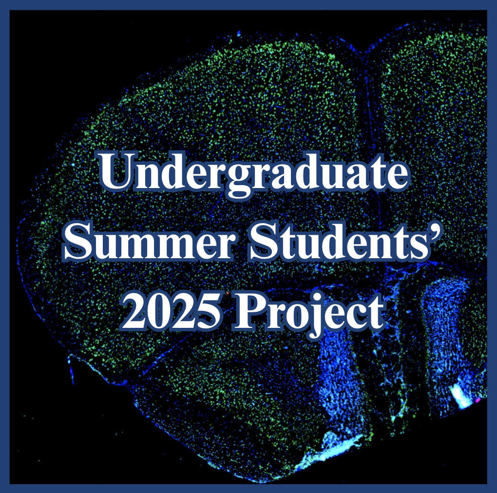 2025SummerStudentsResearchCover