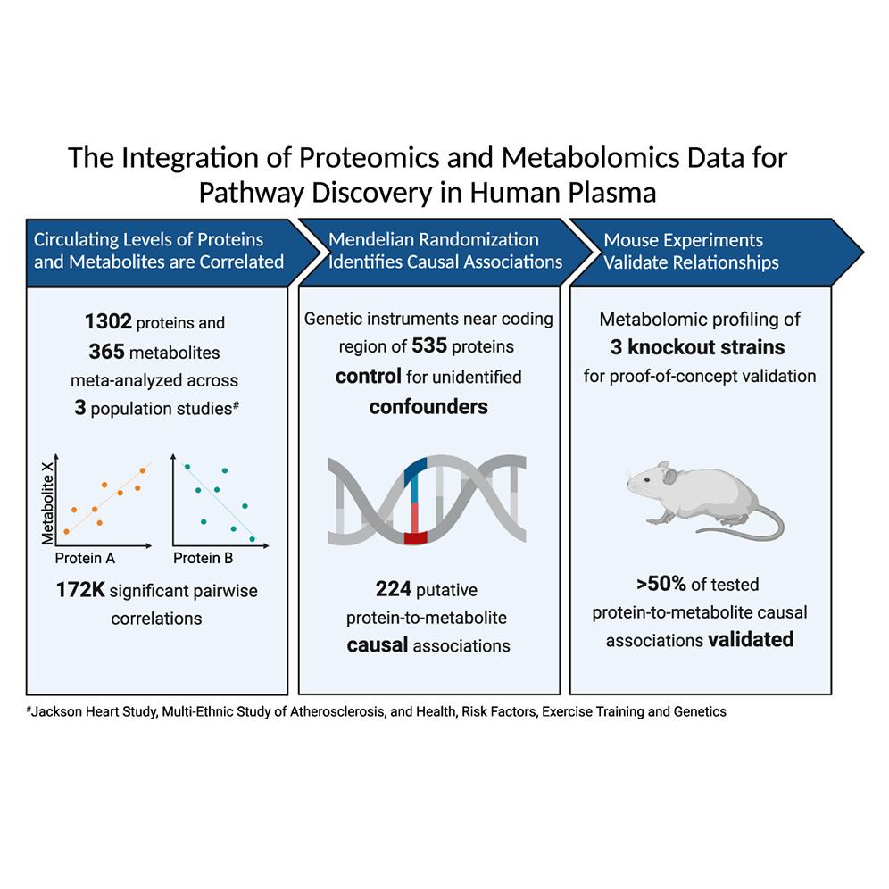 Graph depicting the Integration pf Proteomics and Metabolomics Data for Pathway Discovery in Human Plasma