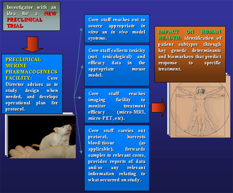 core-facility-flow-chart