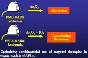 optimize-apl-mouse-model