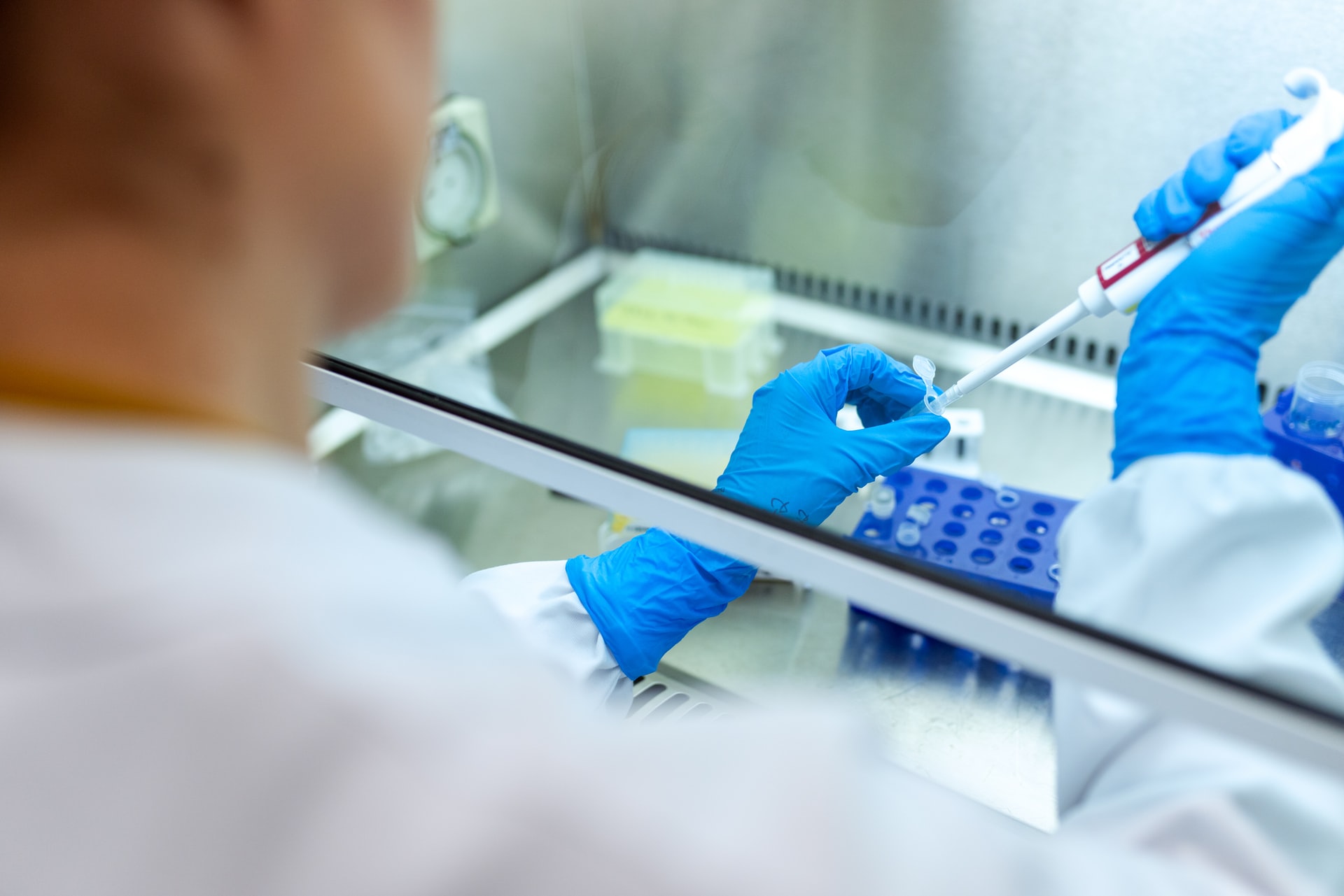 Lab worker using a biosafety cabinet