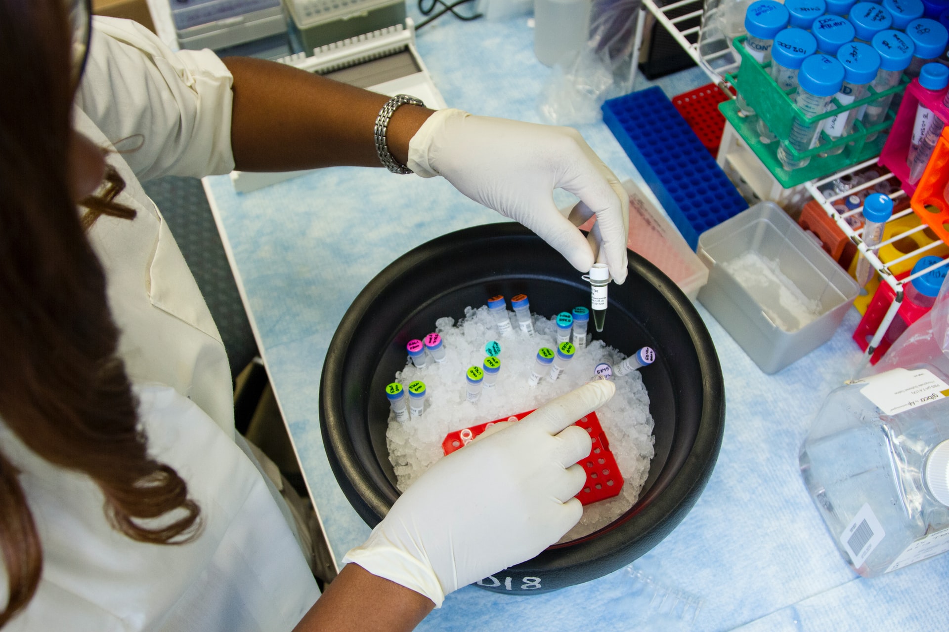 Researcher setting up genetic samples and primers for polymerase chain reaction