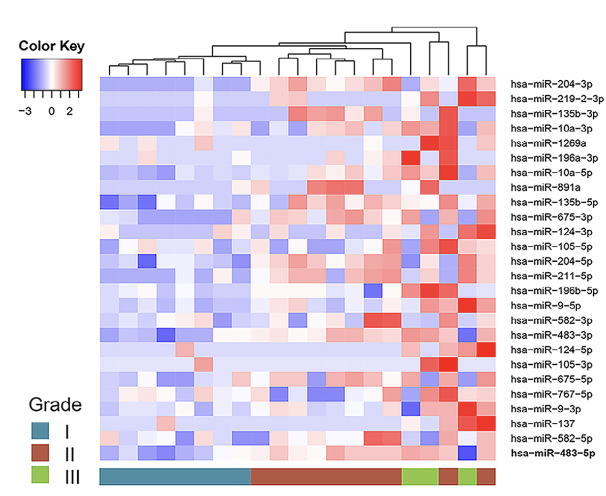 Differential miRNA expression heatmap by meningioma grade showing miR-483-5p and IGF-2 upregulation