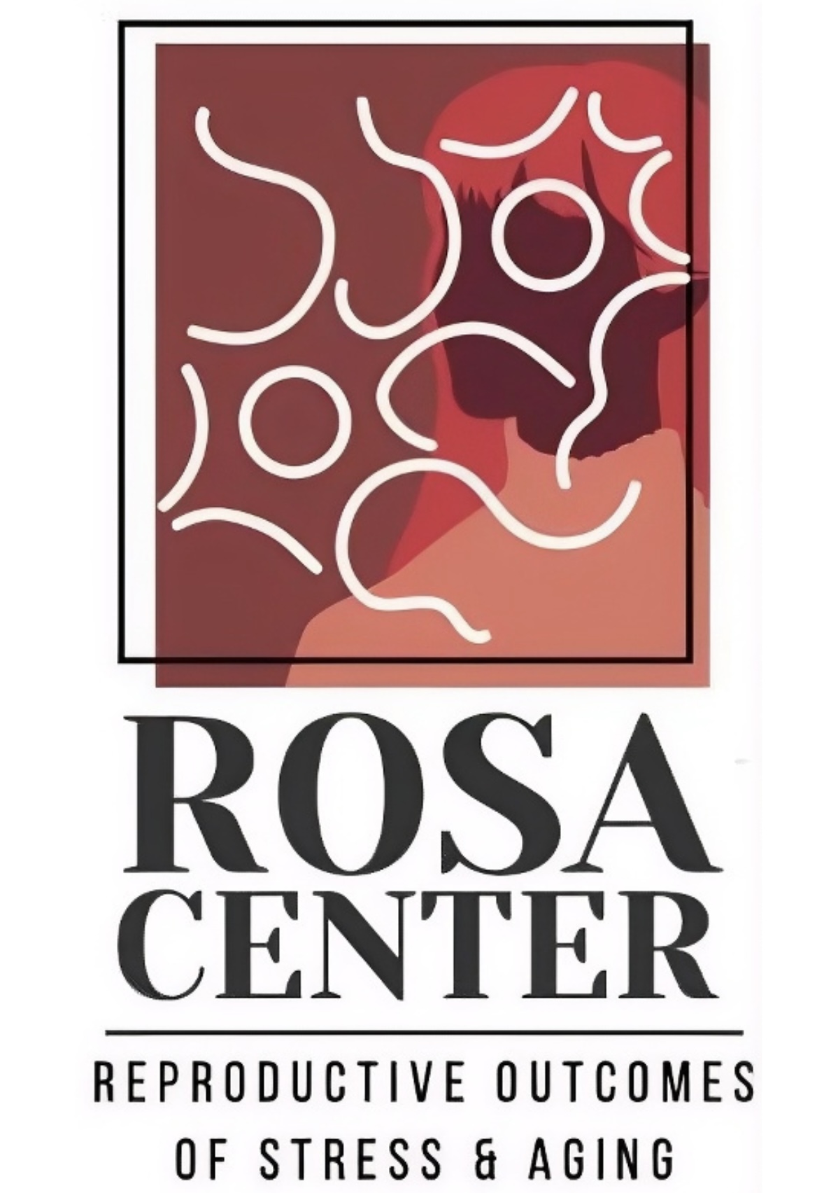 ROSA Logo