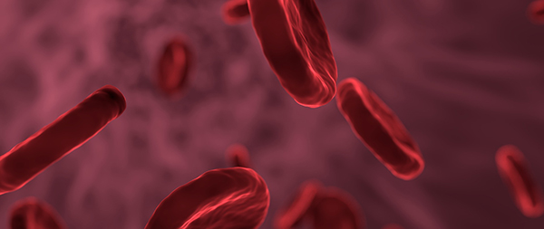 Red blood cells