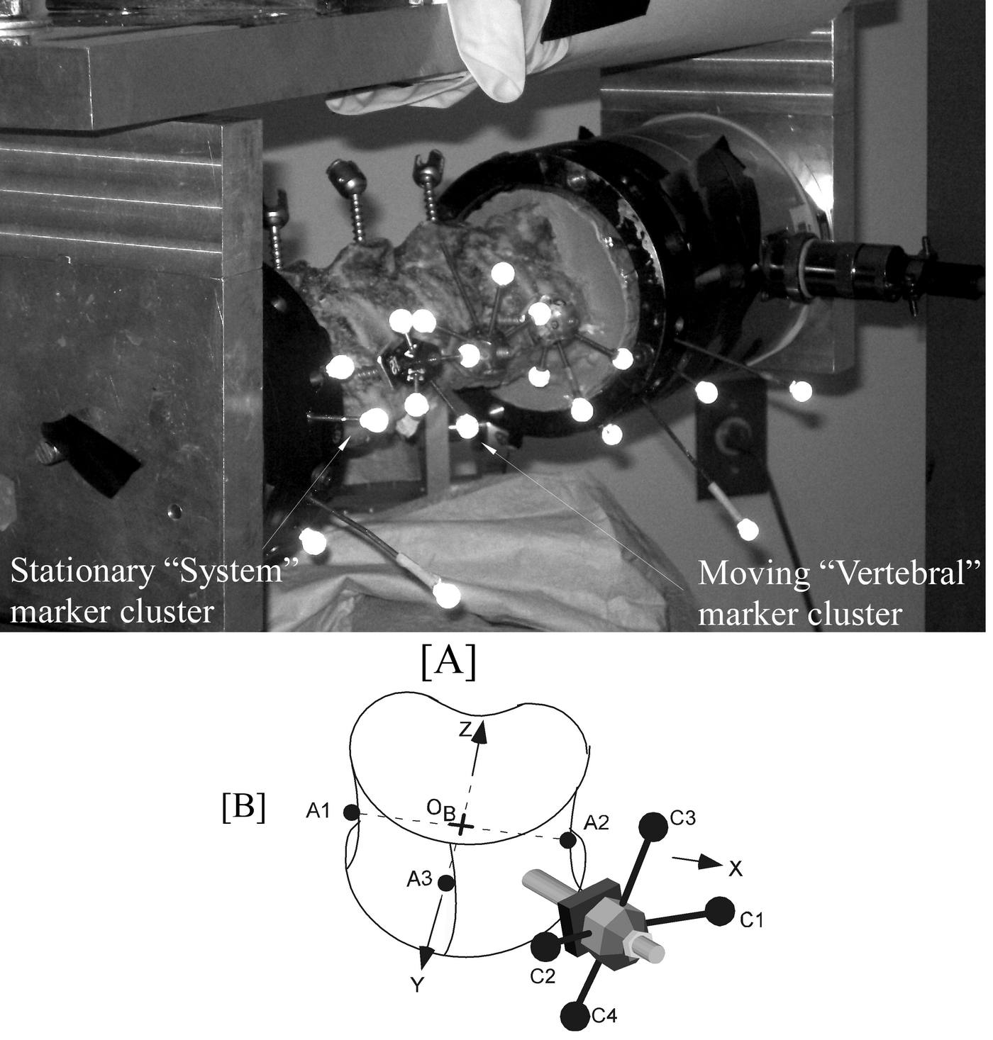 spine with optical markers