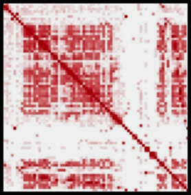 vutara_genomics-orca_contact-frequency