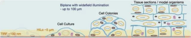 vutara_vxl_smlm_sample_types_bruker