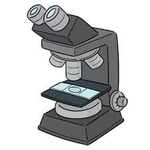 basic-histology