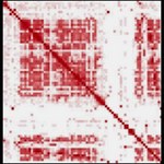 vutara_genomics-orca_contact-frequency