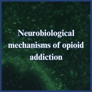 Opioid Addiction Research Cover