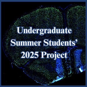2025SummerStudentsResearchCover