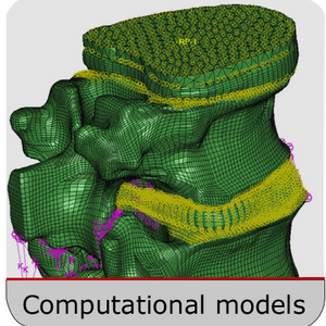Computational Spine