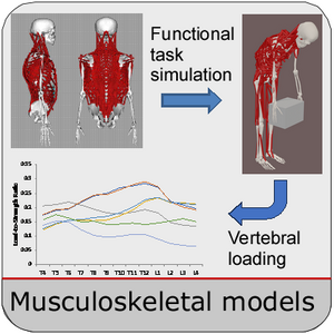 Spinal loading