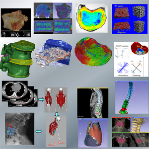 SBG range of activities
