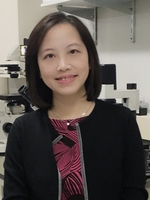 An image of Tong Zheng