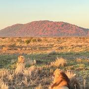 Botswana Picture 8
