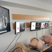 TEE Training station at ECHO Lab