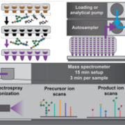 glycomics core news