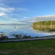 view of Frenchman Bay from MDIBL campus