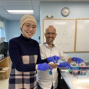 students investigate water transport in lab