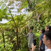 Lab members in the rain forest