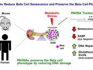de Celis et al. 2022, PNAS
