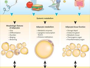Santoro and Kahn 2023, NEMJ