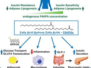 Yore et al. 2014, Cell