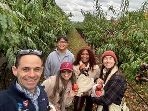Apple Picking