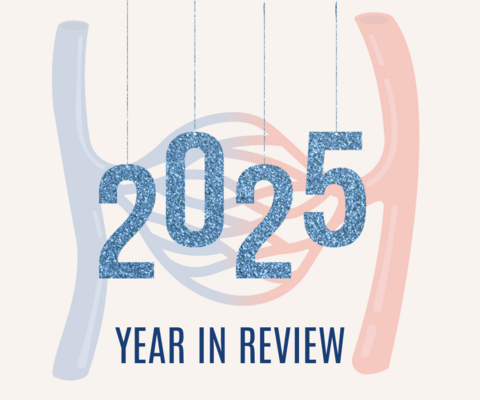 "2025 Year in Review" text is overlayed on a red and blue image of the vasculature