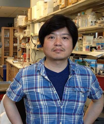 Yoon-Suk Kang, PhD