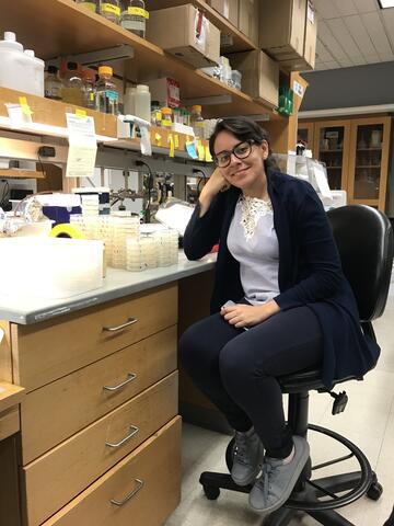 Laura Paulette Fernandez Cardenas