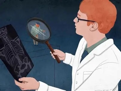 Image of a Physician Looking at a Medical Scan