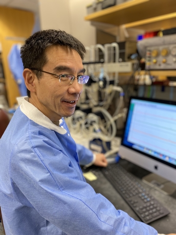Dr. Weiqun Yu performing bladder muscle strip myography in lab