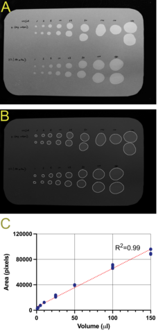 ML-UrineQuant identifies mouse urine spots on filter paper