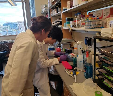 Dr. Verstegen and her technician Richard Lee working at the bench
