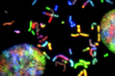 microscopic DNA strands