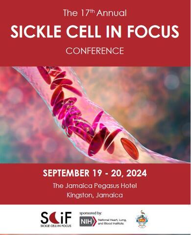 Sickle Cell in Focus
