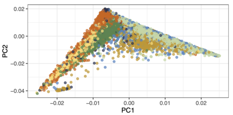 Genetic PC1 versus PC2 in the Study of Latinos