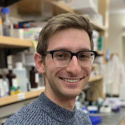 Headshot of Abe Bayer