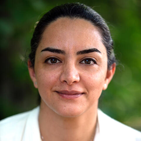 S. Hariri
