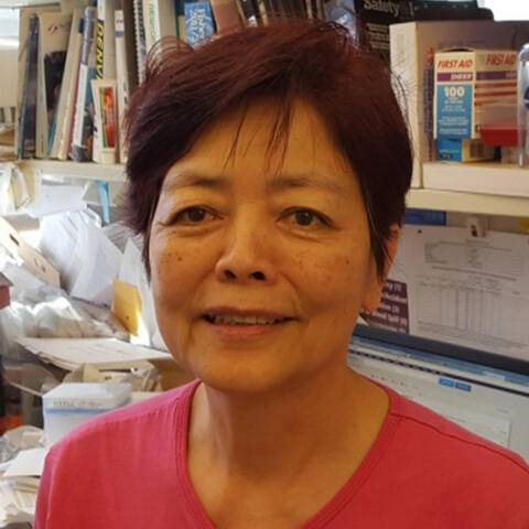 Quan Ha