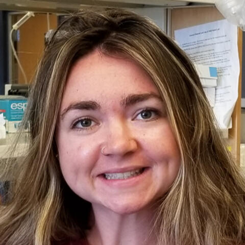 Sydney Aten