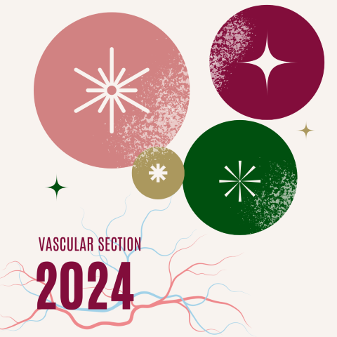 Vascular Section NY celebration 